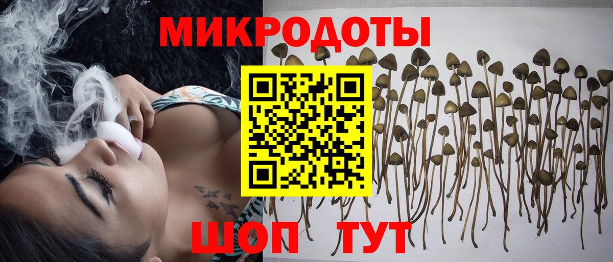 Псилоцибиновые грибы MAGIC MUSHROOMS  Вход с VPN  Псилоцибиновые грибы прущие грибы  Горно-Алтайск 